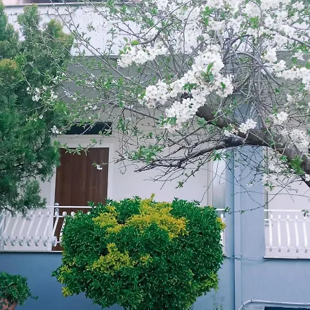 Rachel'S Guest Apartments Santa Maria Capua Vetere Exterior photo